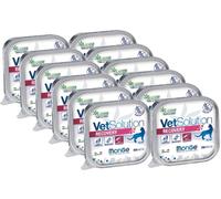 Monge Vet Solution Gatto Recovery Vaschetta 100G KIT RISPARMIO 12X100G