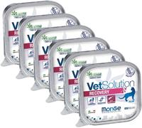 Monge Vet Solution Gatto Recovery Vaschetta 100G KIT RISPARMIO 6X100G