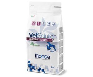 MONGE VETSOL CAN INTESTIN 2KG