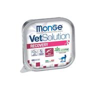 MONGE VETSOLUTION FELINE RECOVERY (100 gr) - Supporto nutrizionale completo per la convalescenza felina