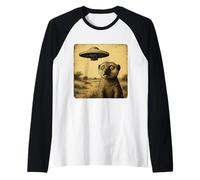 Mongoose Ufo Sorpreso Vintage Alien Sci-Fi Incontro Divertente Maglia con Maniche Raglan