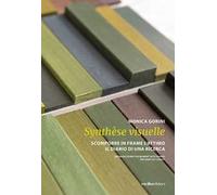 Monica Gorini. Synthèse visuelle. Scomporre in frame l'attimo Il diario di una ricerca. Ediz. italiana e inglese