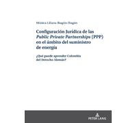 Mónica-Liliana Configuración Jurídica de las Public Private (Copertina rigida)