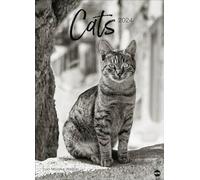 Monika Wegler: Cats Edition 2024. Elegante Samtpfoten in schwarz-weiß in einem XXL-Kalender. Tierkalender 2024 im Großformat. Hochwertiger großer Fotokalender für Katzenfans.