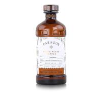 Monin Paragon Timur Berry Cordial (1 x 485 ml)