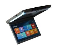 Monitor da tetto for auto 11,6 pollici, schermo IPS con video HD 1080P e luce ambientale blu(Grey)