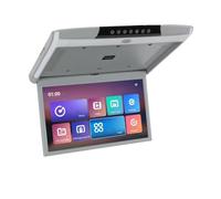 Monitor da tetto for auto 17,3 pollici, schermo IPS HD 1080P con luce ambientale(Grey)