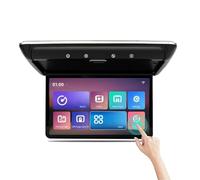 Monitor da tetto for auto da 15,6 pollici, schermo IPS con video HD 1080P, schermo IPS con luce ambientale a 16 colori, SD FM(Grey)