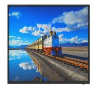 Monitor Dahua 1.0.99.12.10346-9001 Full HD