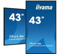 Monitor interattivo iiyama LH4360UHS-B2AG 4K Android 11