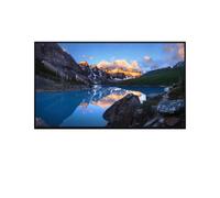 Monitor LCD Dell UltraSharp U2424HWOS da 23,8" Full HD 120 Hz IPS