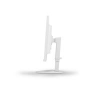 Monitor NEC MultiSync EA242F 60,5 cm (23.8") 1920 x 1080 Pixel Full HD LED Bianco [60005246]