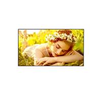 Monitor PC LG 55UL5Q-M 55" UltraHD 4K 60Hz LED ADS WiFi 24/7 Commerciale