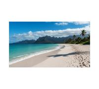 Sharp MultiSync UN553S Display videowall da 55 pollici