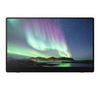 Monitor con Touch Screen Ricoh 514909 15,6" OLED