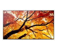 Sharp MultiSync M432 Display professionale grande formato da 43 pollici