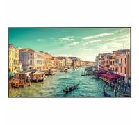 Monitor Videowall Samsung QM98T-B 4K Ultra HD 98" 50-60 Hz