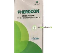 Monitoraggio Cimice Asiatica Halyomorpha halys Pherocon Sticky Trap