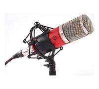 MONKEY BANANA MANGABEY NEGRO