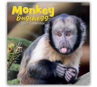 Monkey Business 2027 - 16-Monatskalender: Original The Gifted Stationery Co. Ltd [Mehrsprachig] [Kalender]