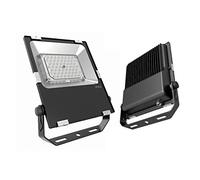 Monkey Ladder Proiettore LED extra piatto 70 W 6500 K, IP65 e fattore di potenza maggiore di 0,95. Ideale per l'illuminazione esterna ad alta efficienza e resistenza alle intemperie.