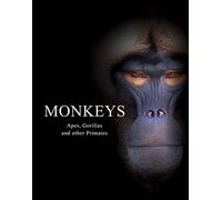 Monkeys: Apes, Gorillas and Other Primates