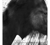 Mono - One Step More & You Die/New York Sound (2 LP)