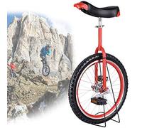 Monociclo, Monociclo da 24/20/18/16 pollici, monociclo con ruote antiscivolo, pneumatici montagna Equitazione Esercizio di autoequilibrio Balance Bike Sport all'aria aperta fitness(Red,16inches)