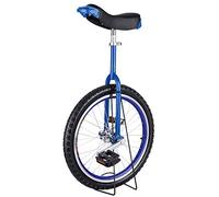 monociclo, Monociclo da 24/20/18/31 pollici, monociclo con ruote antiscivolo, pneumatici montagna Equitazione Esercizio di autoequilibrio Balance Bike Sport all'aria aperta fitness(Blue,18inches)