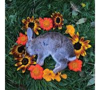 Monolord Your Time to Shine Album