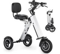 Monopattino elettrico a 3 ruote con sedile, triciclo pieghevole con schienale per adulti,monopattino elettrico leggero con batteria rimovibile 36 V 7,8 Ah, retromarcia e interruttore a chiave