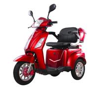 Monopattino elettrico per anziani scooter per mobilità VISTA