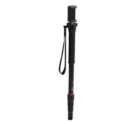Monopiede per Fotocamera, Flessibile Ed Estensibile, da 48 Cm a 163 Cm, Carico di 5 Kg, con Fori Filettati da 3/8 Pollici, Compatibile con Treppiedi, Bastoncini per Selfie, Lega