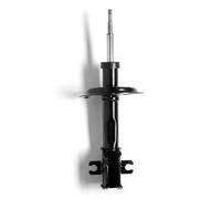 MONROE 10053 Ammortizzatore per FIAT