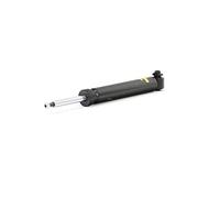 1 Ammortizzatore Monroe Spectrum 376015sp