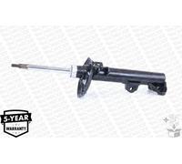 Ammortizzatore MONROE 742129SP