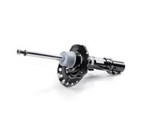 Ammortizzatore MONROE C2504R