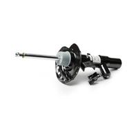 Monroe Ammortizzatore C2507L Spina superiore a pressione del gas per Ford S‑MAX e Galaxy II