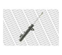 MONROE Ammortizzatore Anteriore Sinistro Per Citroën C3 I FC_ FN_ C4 Coupe LA_