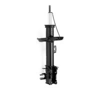 MONROE G8113 Ammortizzatore