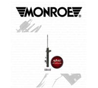Ammortizzatore MONROE G16449 destro