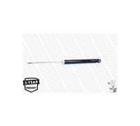 Monroe Ammortizzatore Sospensione Per Mazda 2 2S6118080CG 2S6118080CH