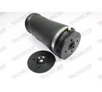 MONROE ASP005 Molla pneumatica, Autotelaio per MERCEDES-BENZ