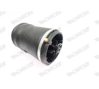 MONROE ASP006 Molla pneumatica, Autotelaio per LAND ROVER