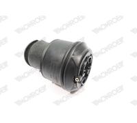 MONROE ASP007 Molla pneumatica, Autotelaio per CITROËN