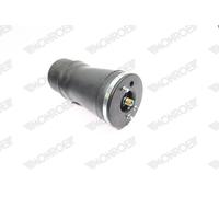 MONROE ASP011 Molla pneumatica, Autotelaio per BMW