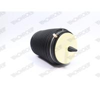 MONROE ASP019 Molla pneumatica, Autotelaio per AUDI