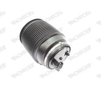 MONROE ASP021 Molla pneumatica, Autotelaio per LEXUS,TOYOTA