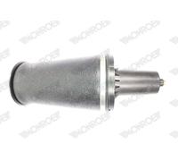 MONROE ASP024 Molla pneumatica, Autotelaio per LAND ROVER