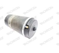 MONROE ASP038 Molla pneumatica, Autotelaio per LAND ROVER